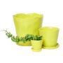 Tika Pot With Saucer – Chive – Green Sheen – 3″